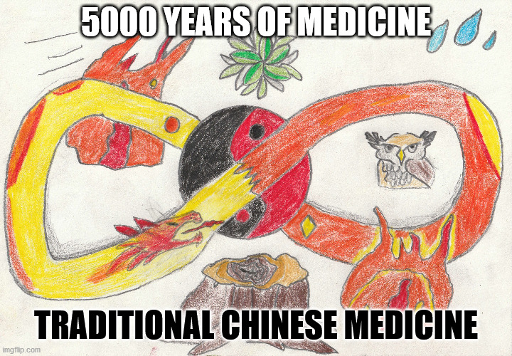 5000 Years of Medicine | 5000 YEARS OF MEDICINE; TRADITIONAL CHINESE MEDICINE | image tagged in tcm,chinese medicine,traditional chinese medicine,ying yang,yingyang,ying yang symbol | made w/ Imgflip meme maker
