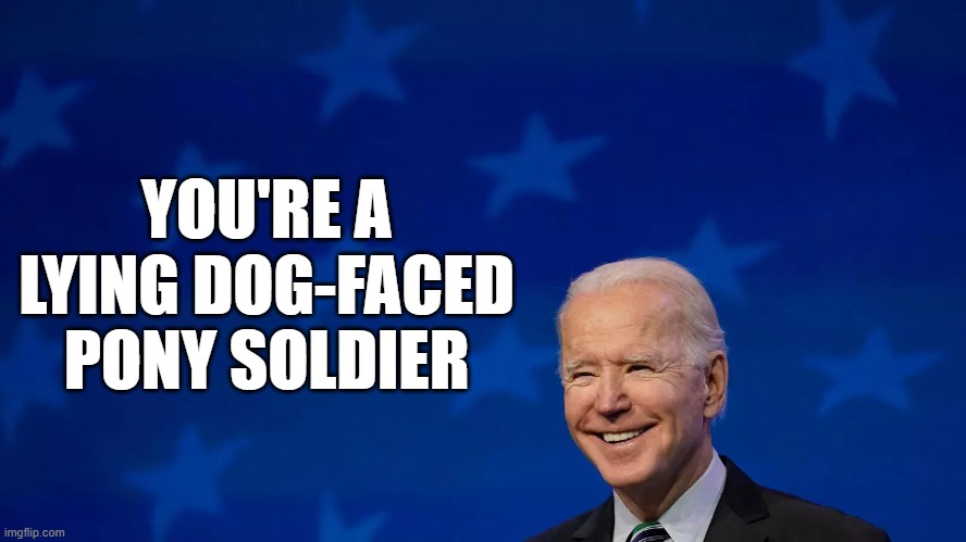 Truly knows his base | YOU'RE A LYING DOG-FACED PONY SOLDIER | image tagged in pony,meme | made w/ Imgflip meme maker