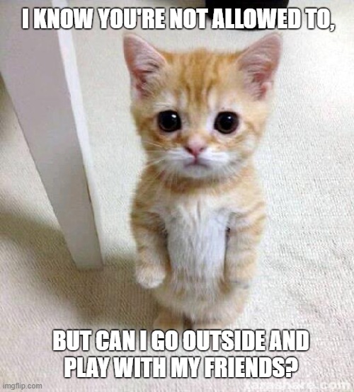 It's tough times | I KNOW YOU'RE NOT ALLOWED TO, BUT CAN I GO OUTSIDE AND
PLAY WITH MY FRIENDS? | image tagged in memes,cute cat,coronavirus,stay home,sad,friends | made w/ Imgflip meme maker