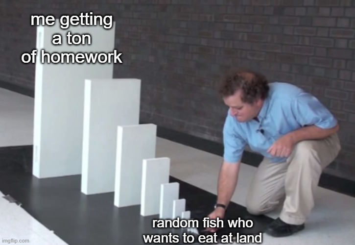 free epic Tiktaaliks for pets | me getting a ton of homework; random fish who wants to eat at land | image tagged in domino effect,fish,evolution,memes,homework,school | made w/ Imgflip meme maker