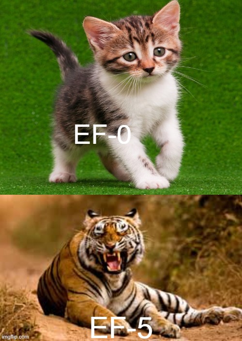 tornado cats | EF-0; EF-5 | image tagged in tornado cats,tornado,ef5,ef0 | made w/ Imgflip meme maker