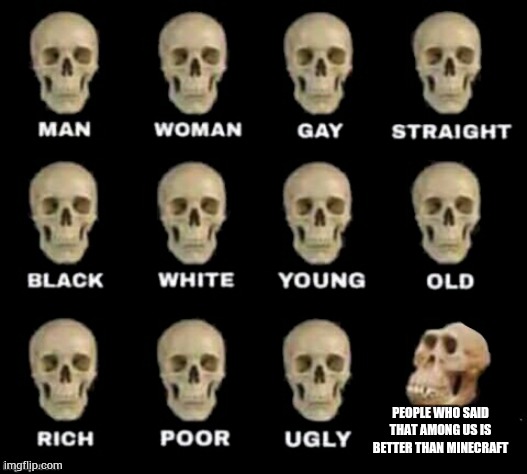 idiot skull | PEOPLE WHO SAID THAT AMONG US IS BETTER THAN MINECRAFT | image tagged in idiot skull | made w/ Imgflip meme maker