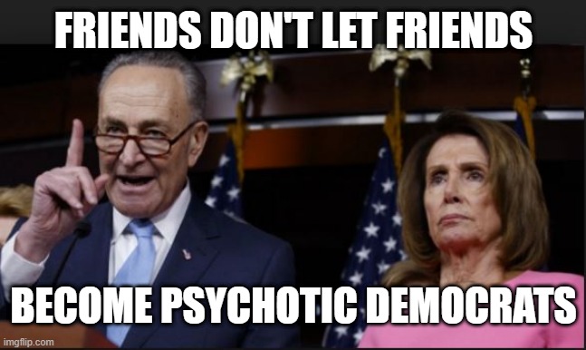 Friends Don't Let Friends Become Psychotic Democrats | FRIENDS DON'T LET FRIENDS; BECOME PSYCHOTIC DEMOCRATS | image tagged in schumer pelosi shitholes | made w/ Imgflip meme maker