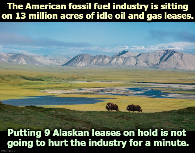 If they want to find oil, they've already got lots of untouched real estate to explore. | The American fossil fuel industry is sitting on 13 million acres of idle oil and gas leases. Putting 9 Alaskan leases on hold is not 
going to hurt the industry for a minute. | image tagged in alaska,wildlife,oil,company | made w/ Imgflip meme maker