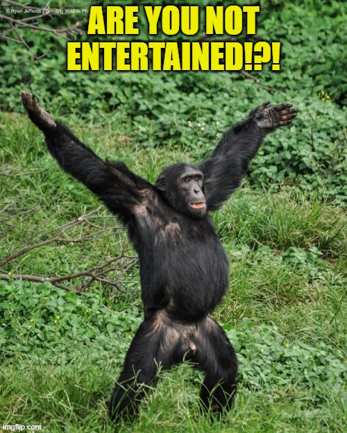 Are you not entertained? | ARE YOU NOT ENTERTAINED!?! | image tagged in entertained | made w/ Imgflip meme maker
