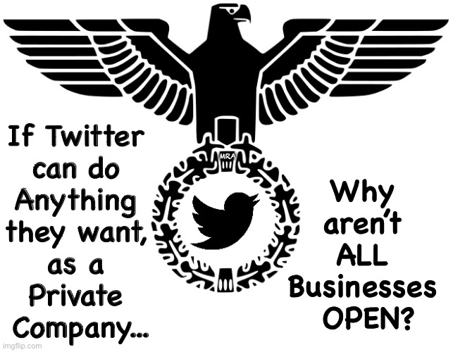 Twitter Nazis | Why 
aren’t 
ALL 
Businesses 
OPEN? If Twitter 
can do 
Anything 
they want, 
as a 
Private 
Company... MRA | image tagged in twitter nazis | made w/ Imgflip meme maker