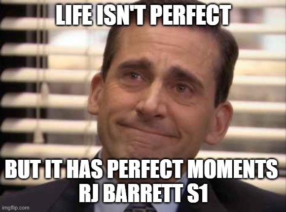 wholesome | LIFE ISN'T PERFECT; BUT IT HAS PERFECT MOMENTS 
RJ BARRETT S1 | image tagged in wholesome,Topshotcasino | made w/ Imgflip meme maker