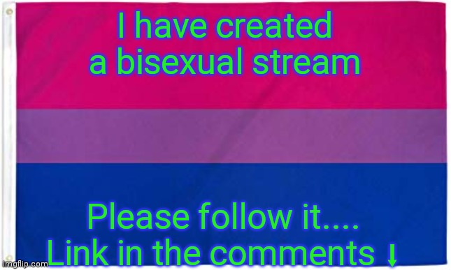 Pretty sure no ones has made this stream yet | I have created a bisexual stream; Please follow it.... Link in the comments ⬇ | image tagged in bisexual flag | made w/ Imgflip meme maker