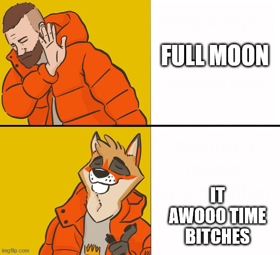Furry Drake | FULL MOON; IT AWOOO TIME BITCHES | image tagged in furry drake | made w/ Imgflip meme maker