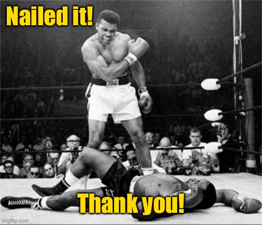 knocked out meme | Nailed it! Thank you! | image tagged in knocked out meme | made w/ Imgflip meme maker