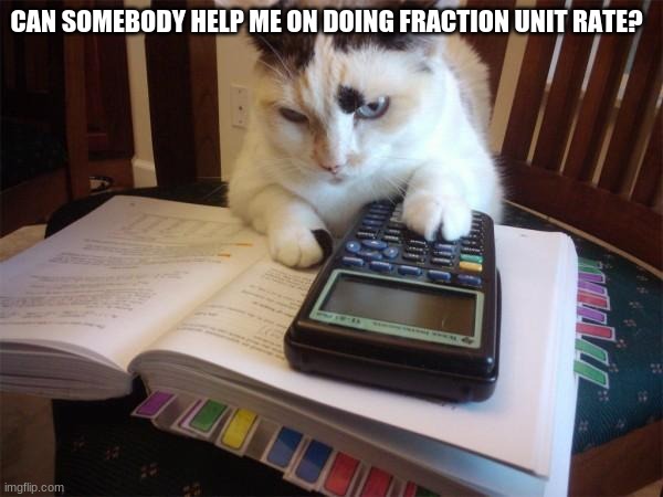i was given a test after giving me 2 days of this subject oh my god | CAN SOMEBODY HELP ME ON DOING FRACTION UNIT RATE? | image tagged in math cat | made w/ Imgflip meme maker