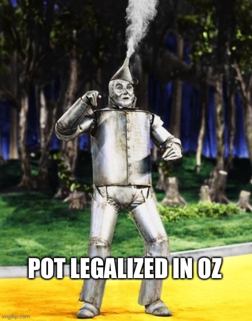 POT LEGALIZED IN OZ | image tagged in pot,tin man | made w/ Imgflip meme maker