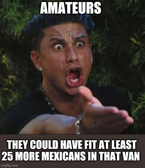 DJ Pauly D Meme | AMATEURS THEY COULD HAVE FIT AT LEAST 25 MORE MEXICANS IN THAT VAN | image tagged in memes,dj pauly d | made w/ Imgflip meme maker