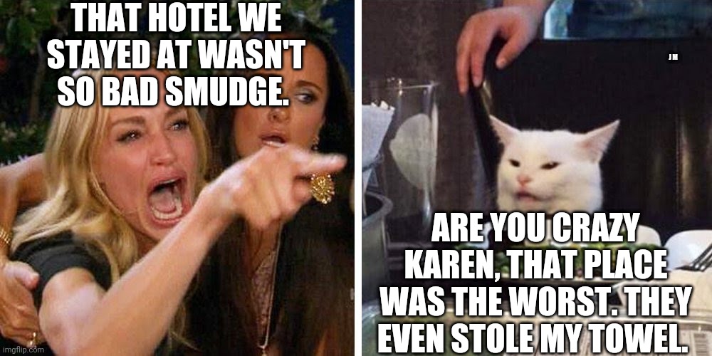 Smudge the cat | THAT HOTEL WE STAYED AT WASN'T SO BAD SMUDGE. J M; ARE YOU CRAZY KAREN, THAT PLACE WAS THE WORST. THEY EVEN STOLE MY TOWEL. | image tagged in smudge the cat | made w/ Imgflip meme maker
