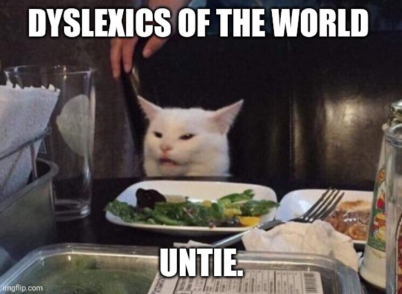Salad cat | DYSLEXICS OF THE WORLD; UNTIE. | image tagged in salad cat | made w/ Imgflip meme maker