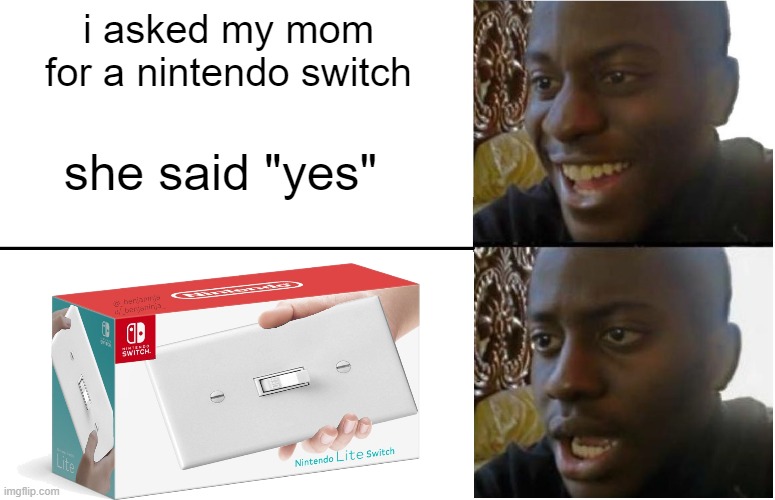 how will you feel? | she said "yes"; i asked my mom for a nintendo switch | image tagged in nintendo,meme,lol,funny | made w/ Imgflip meme maker