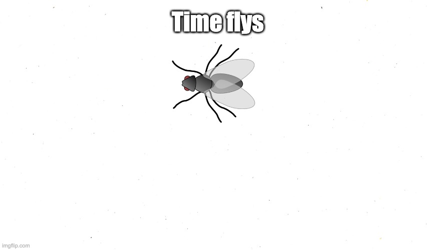 time flys | Time flys | image tagged in time,flys,funny,joke,comedy | made w/ Imgflip meme maker
