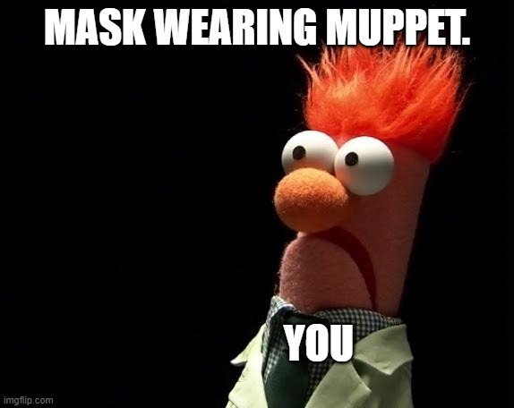 muppets | MASK WEARING MUPPET. YOU | image tagged in muppets | made w/ Imgflip meme maker