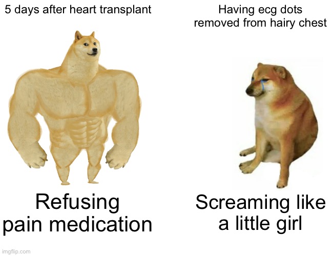 Buff Doge vs. Cheems | 5 days after heart transplant; Having ecg dots removed from hairy chest; Refusing pain medication; Screaming like a little girl | image tagged in memes,buff doge vs cheems,heart,transplant,pain,hide the pain harold | made w/ Imgflip meme maker