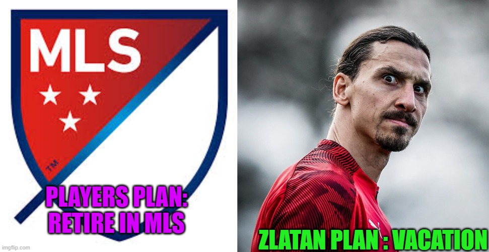 the sultan | PLAYERS PLAN: RETIRE IN MLS; ZLATAN PLAN : VACATION | image tagged in zlatan ibrahimovic wtf,football | made w/ Imgflip meme maker