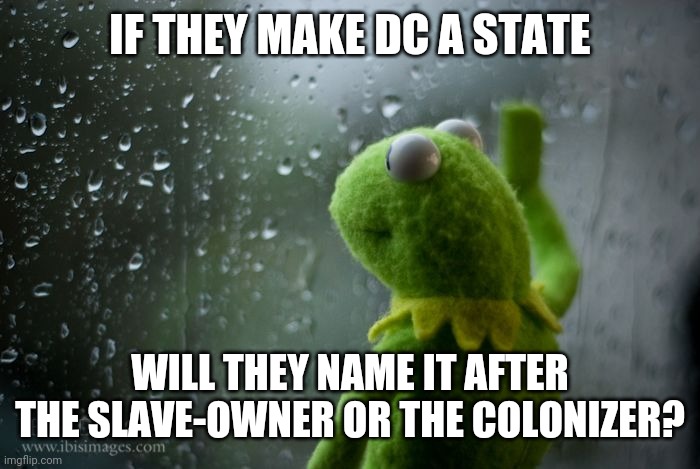 kermit window | IF THEY MAKE DC A STATE; WILL THEY NAME IT AFTER THE SLAVE-OWNER OR THE COLONIZER? | image tagged in kermit window | made w/ Imgflip meme maker