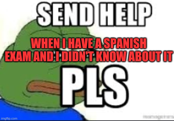 Its true, i have one | WHEN I HAVE A SPANISH EXAM AND I DIDN'T KNOW ABOUT IT | image tagged in send help pls | made w/ Imgflip meme maker