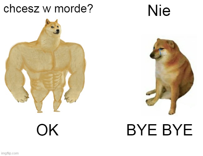 Buff Doge vs. Cheems | chcesz w morde? Nie; OK; BYE BYE | image tagged in memes,buff doge vs cheems | made w/ Imgflip meme maker