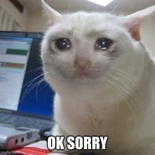 Crying cat | OK SORRY | image tagged in crying cat | made w/ Imgflip meme maker
