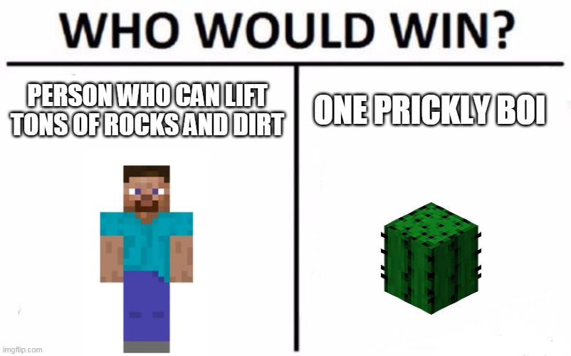 minecraft memes |  PERSON WHO CAN LIFT TONS OF ROCKS AND DIRT; ONE PRICKLY BOI | image tagged in memes,who would win,minecraft steve | made w/ Imgflip meme maker