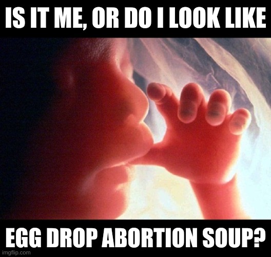 how is this "racist"? :) | IS IT ME, OR DO I LOOK LIKE; EGG DROP ABORTION SOUP? | image tagged in abortion,triggered feminist,cannibalism,overpopulation,racial harmony,egg drop soup | made w/ Imgflip meme maker