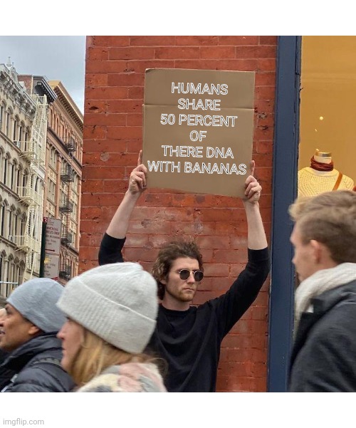 HUMANS SHARE 50 PERCENT OF THERE DNA WITH BANANAS | image tagged in memes,guy holding cardboard sign | made w/ Imgflip meme maker