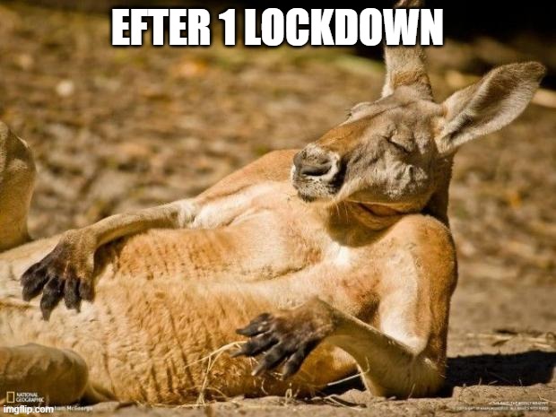 Chillin Kangaroo |  EFTER 1 LOCKDOWN | image tagged in chillin kangaroo | made w/ Imgflip meme maker