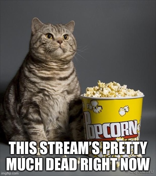 Cat eating popcorn | THIS STREAM’S PRETTY MUCH DEAD RIGHT NOW | image tagged in cat eating popcorn | made w/ Imgflip meme maker