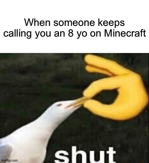 SHUT! | When someone keeps calling you an 8 yo on Minecraft | image tagged in memes,blank transparent square,shut,minecraft,8 year old,shut up | made w/ Imgflip meme maker