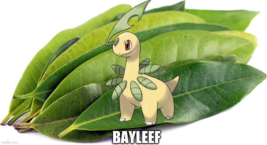 BAYLEEF | made w/ Imgflip meme maker
