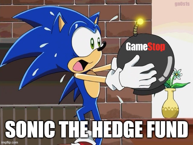 Sonic the Hedge Fund holding Gamestop Stock... | gn0s1s; SONIC THE HEDGE FUND | image tagged in gamestop,sonic the hedgehog,stock market,hedge fund | made w/ Imgflip meme maker