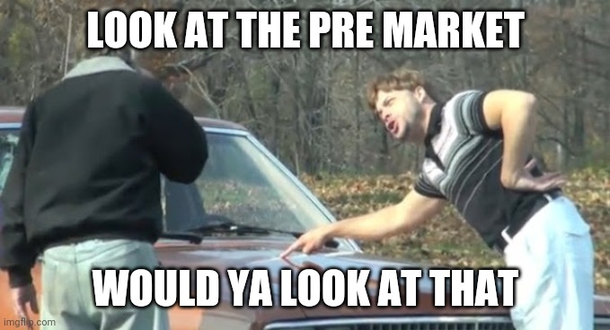 Would you look at that | LOOK AT THE PRE MARKET; WOULD YA LOOK AT THAT | image tagged in would you look at that | made w/ Imgflip meme maker