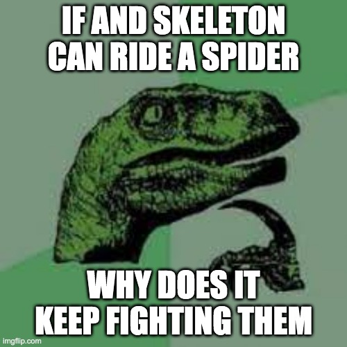 Minecraft question | IF AND SKELETON CAN RIDE A SPIDER; WHY DOES IT KEEP FIGHTING THEM | image tagged in philosoraptor,minecraft | made w/ Imgflip meme maker