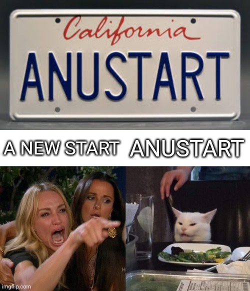 A NEW START; ANUSTART | image tagged in memes,woman yelling at cat | made w/ Imgflip meme maker