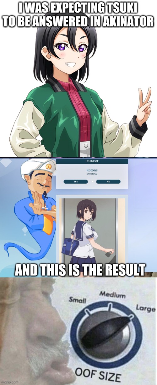 I'm trying to make akinator guess Tsuki but guesses Kotone from the hentai overflow! | I WAS EXPECTING TSUKI TO BE ANSWERED IN AKINATOR; AND THIS IS THE RESULT | image tagged in oof size large,hentai | made w/ Imgflip meme maker