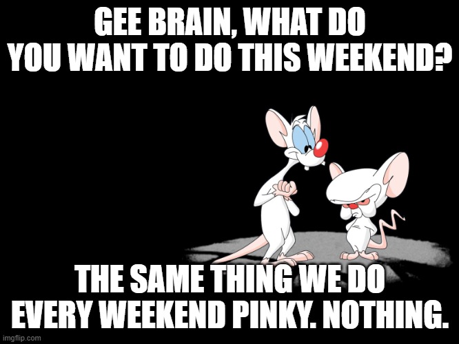 Pinky and the Brain - Not going out | GEE BRAIN, WHAT DO YOU WANT TO DO THIS WEEKEND? THE SAME THING WE DO EVERY WEEKEND PINKY. NOTHING. | image tagged in pinky and the brain | made w/ Imgflip meme maker
