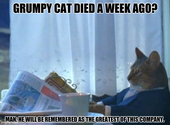 I Should Buy A Boat Cat | GRUMPY CAT DIED A WEEK AGO? MAN, HE WILL BE REMEMBERED AS THE GREATEST OF THIS COMPANY. | image tagged in memes,i should buy a boat cat,sad | made w/ Imgflip meme maker