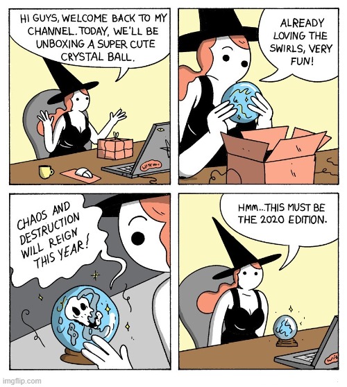 Quick...get rid of it!!! | image tagged in comics/cartoons,comics,witches,2020 | made w/ Imgflip meme maker