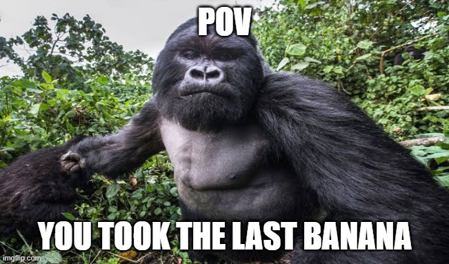 monke buissnes | POV; YOU TOOK THE LAST BANANA | image tagged in monkey | made w/ Imgflip meme maker