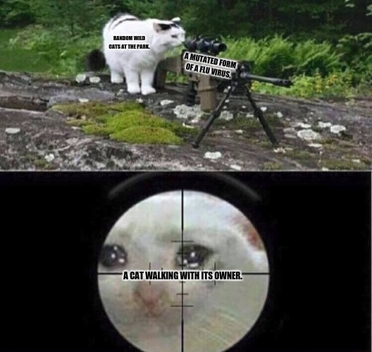 Sniper cat | RANDOM WILD CATS AT THE PARK. A MUTATED FORM OF A FLU VIRUS. A CAT WALKING WITH ITS OWNER. | image tagged in memes,zika virus,american sniper | made w/ Imgflip meme maker