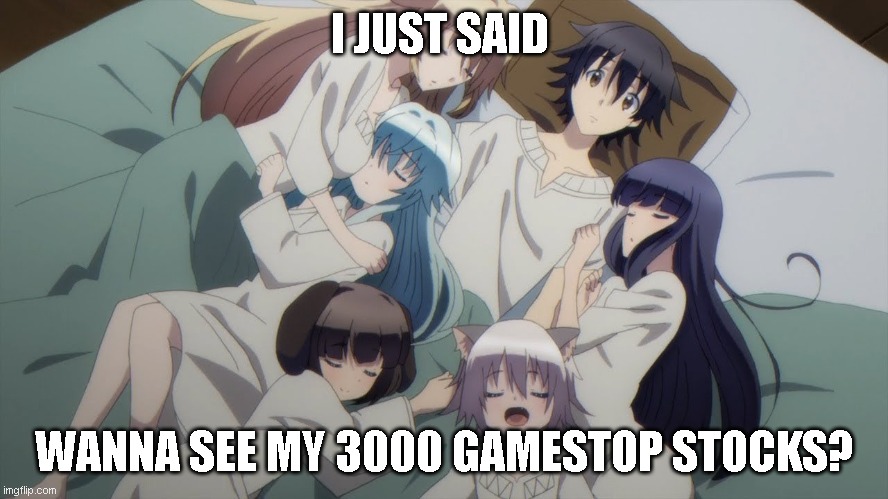 Anime Harem | I JUST SAID; WANNA SEE MY 3000 GAMESTOP STOCKS? | image tagged in anime harem | made w/ Imgflip meme maker
