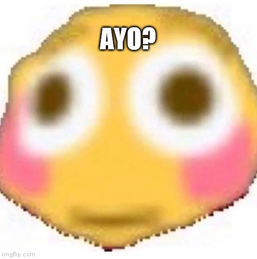 Ayo? | AYO? | image tagged in memes | made w/ Imgflip meme maker