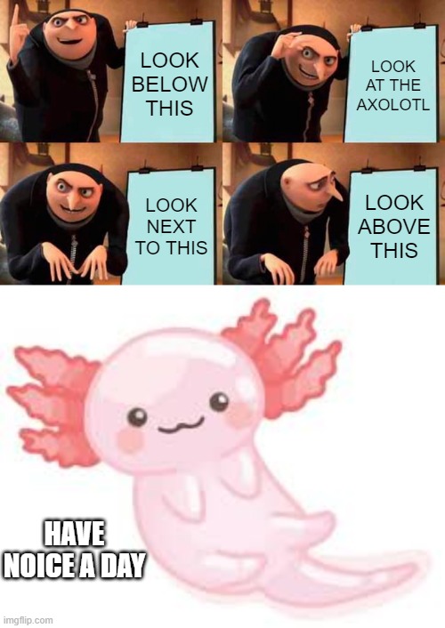 BUT E | LOOK BELOW THIS; LOOK AT THE AXOLOTL; LOOK NEXT TO THIS; LOOK ABOVE THIS; HAVE NOICE A DAY | image tagged in memes | made w/ Imgflip meme maker