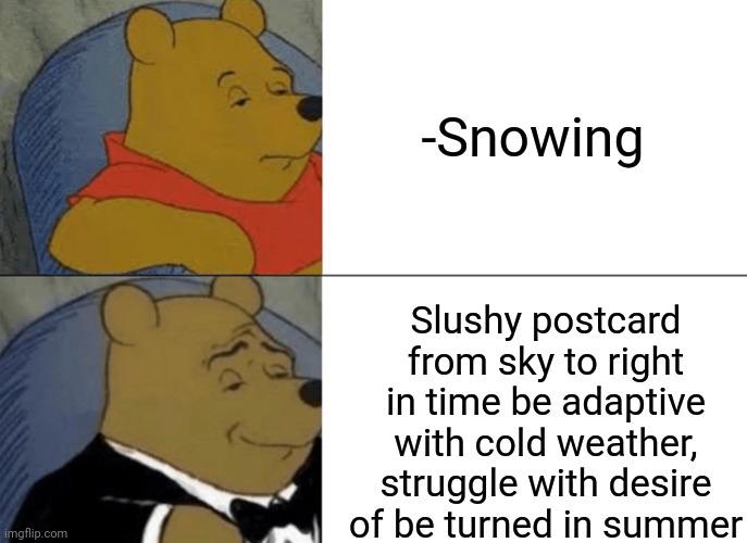 -Checking coin. | -Snowing; Slushy postcard from sky to right in time be adaptive with cold weather, struggle with desire of be turned in summer | image tagged in memes,tuxedo winnie the pooh,summer time,hot,cold weather,snowflakes | made w/ Imgflip meme maker