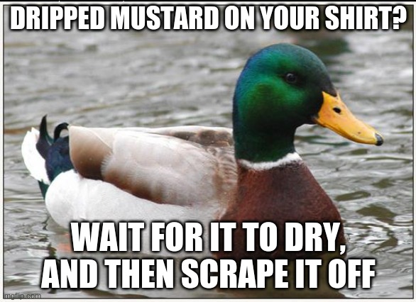 Trust me, it works. 98% of the time. | DRIPPED MUSTARD ON YOUR SHIRT? WAIT FOR IT TO DRY, AND THEN SCRAPE IT OFF | image tagged in memes,actual advice mallard,mustard,stain,clothes,life hack | made w/ Imgflip meme maker
